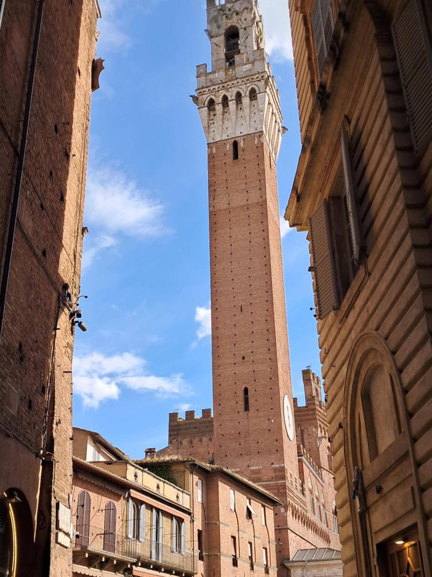 Hotel Minerva Siena Bagian luar foto